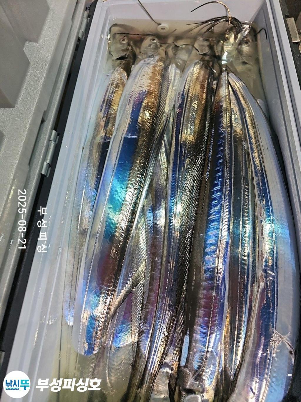 F2755529MK.jpg