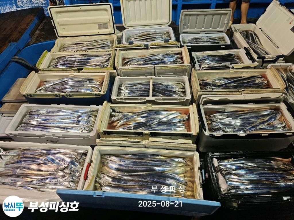 F275553587.jpg
