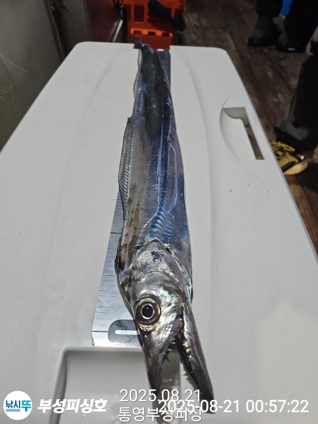 F275553732.jpg