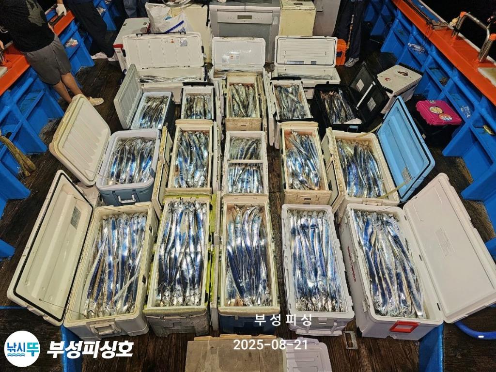 F2755541IF.jpg
