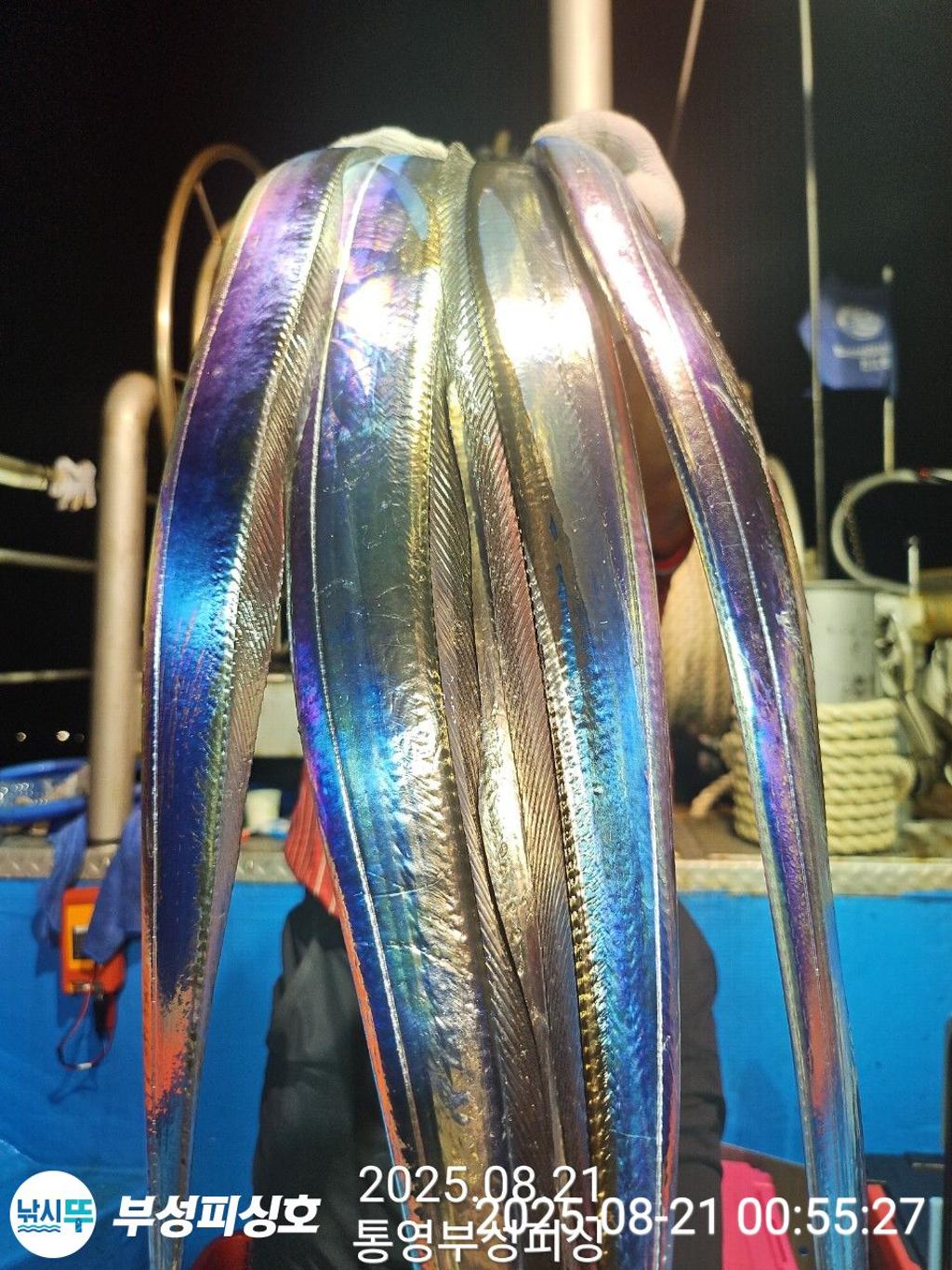 F27555421B.jpg