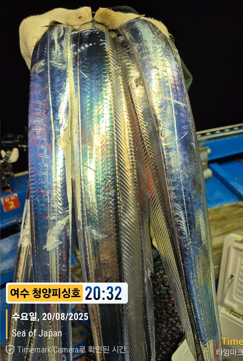F2755571OB.jpg