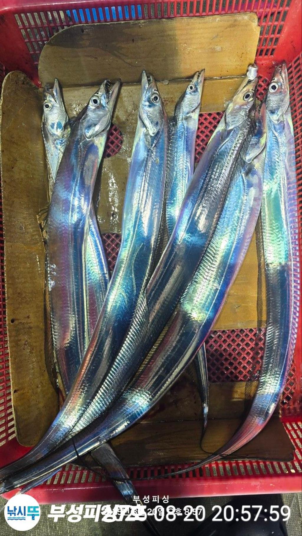 F2755594C3.jpg