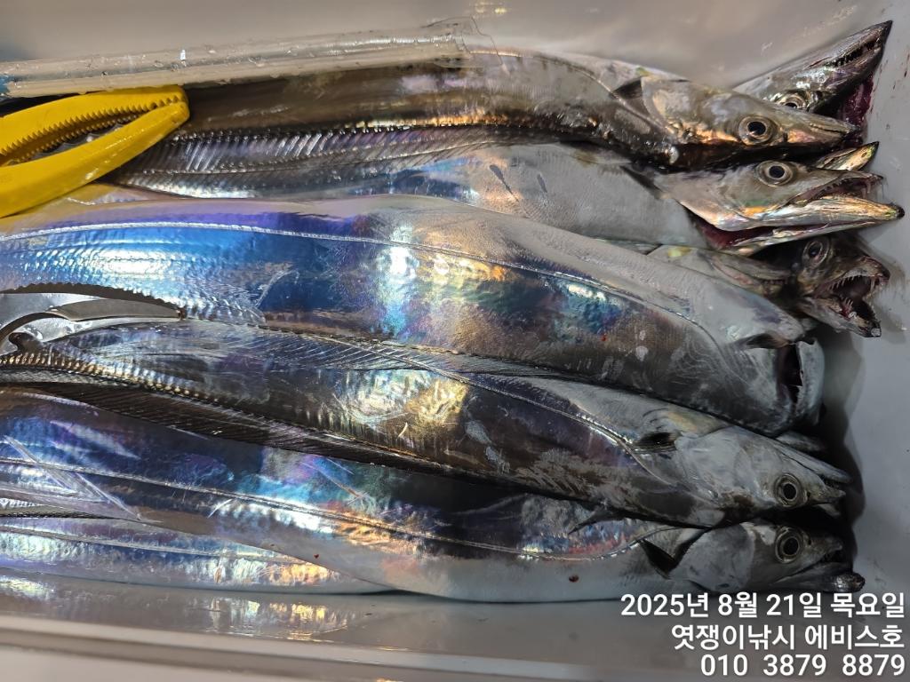 F2755654SN.jpg