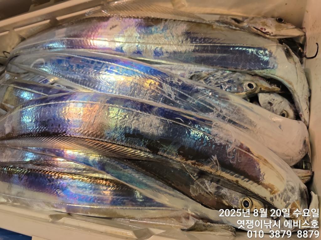 F27556851M.jpg