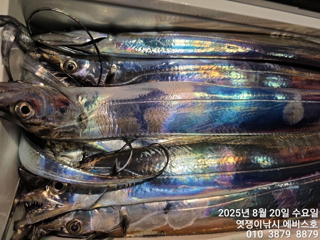 F2755686KQ.jpg