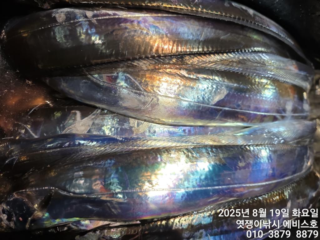 F2755699YB.jpg