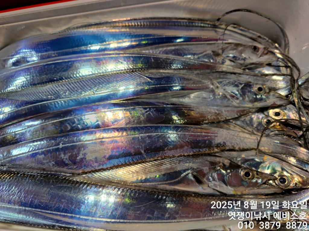 F27557048Q.jpg