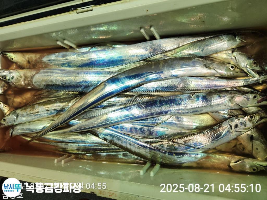 F27557264O.jpg