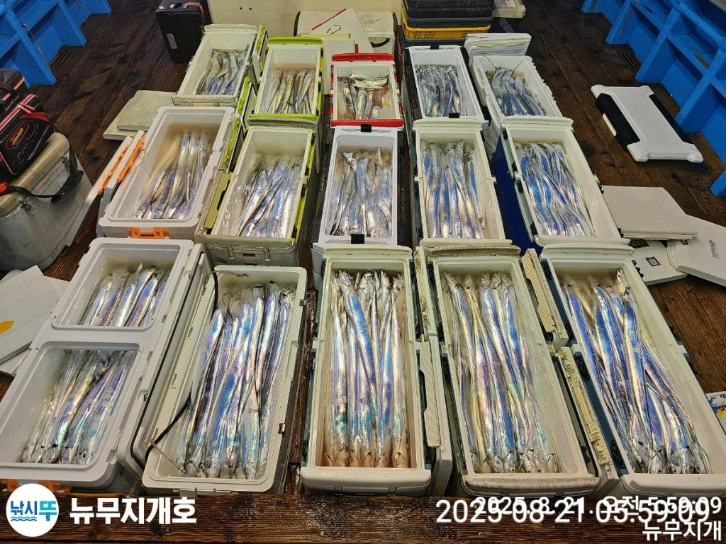 F27558551U.jpg