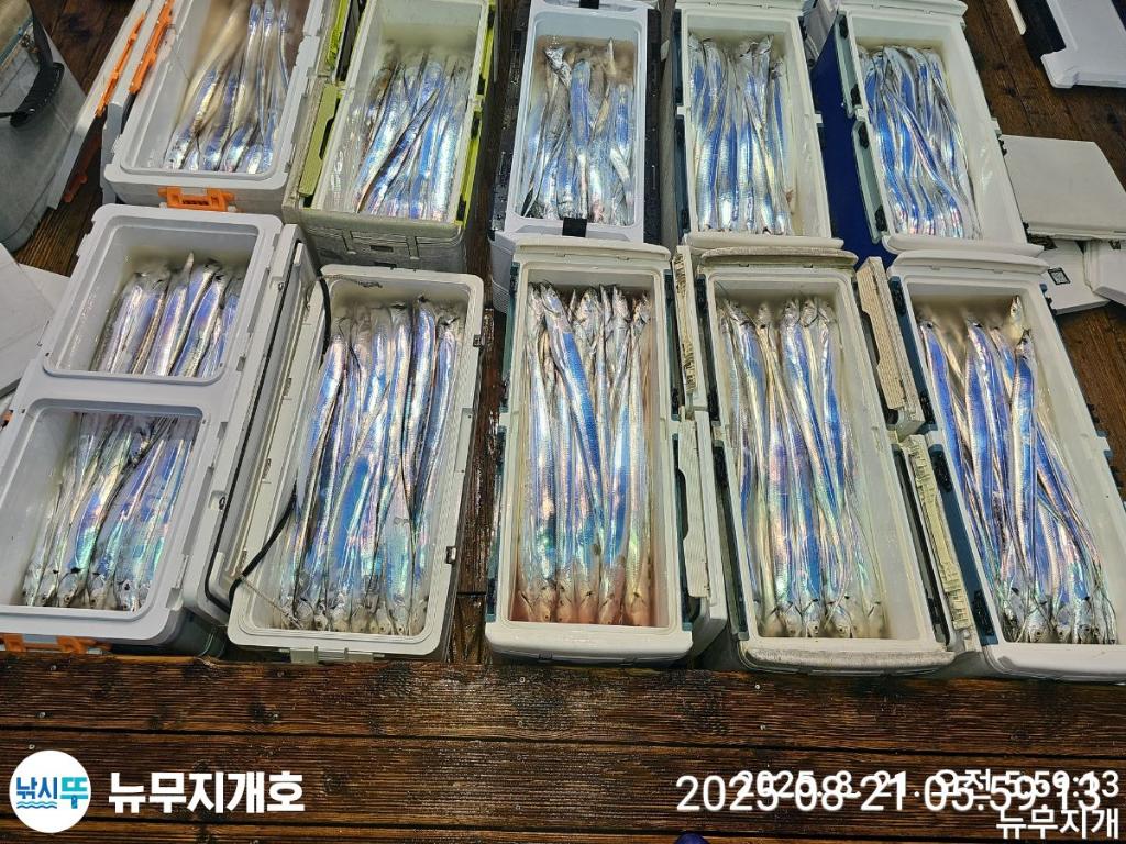 F2755859FP.jpg