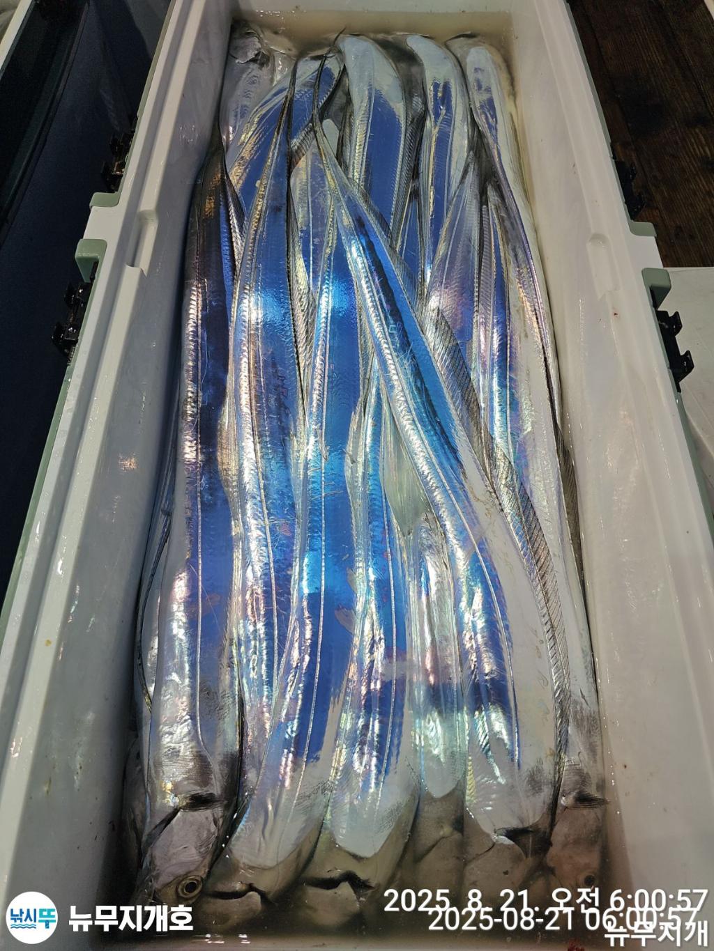 F2755860XQ.jpg