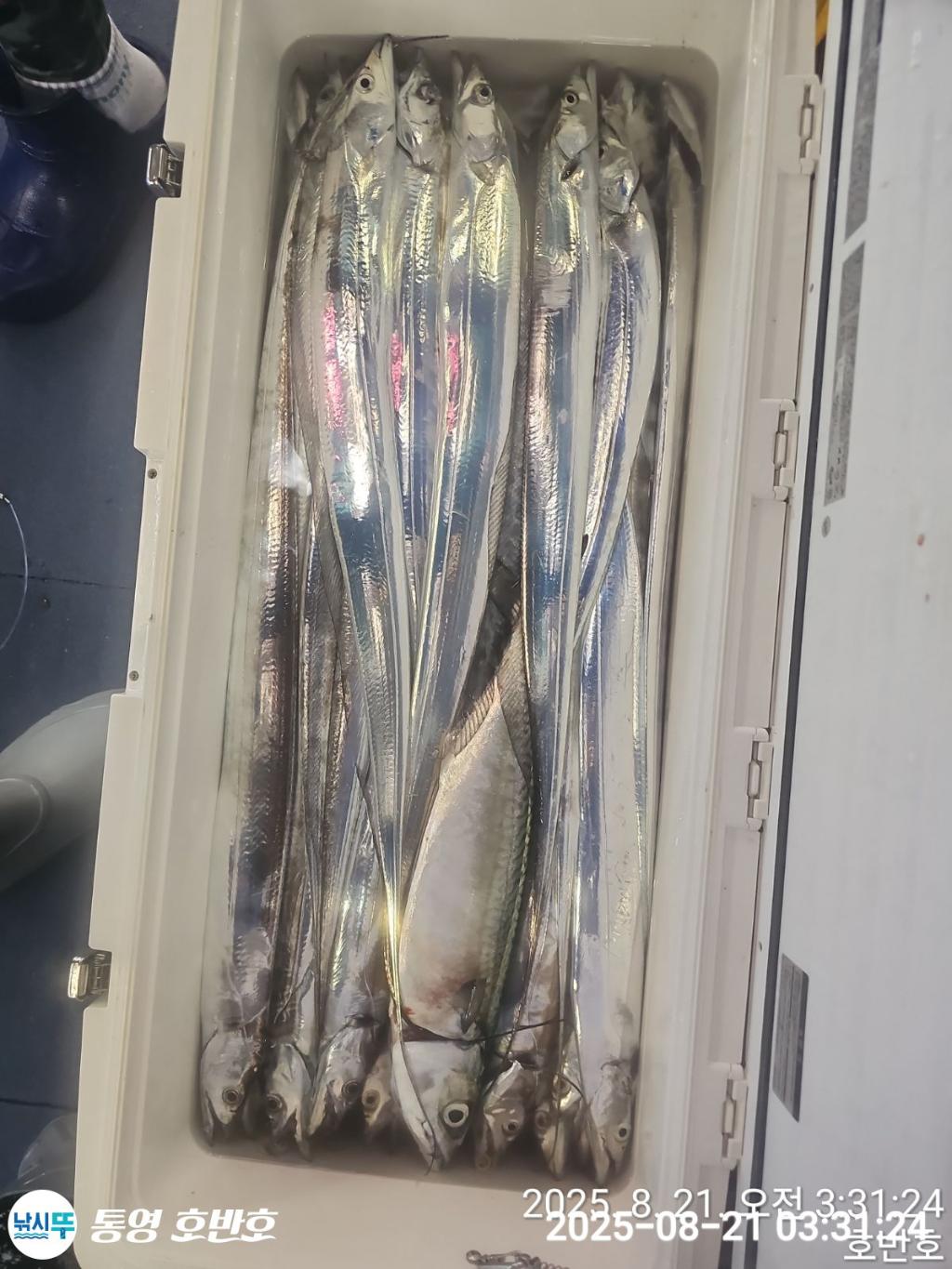 F2755890QX.jpg