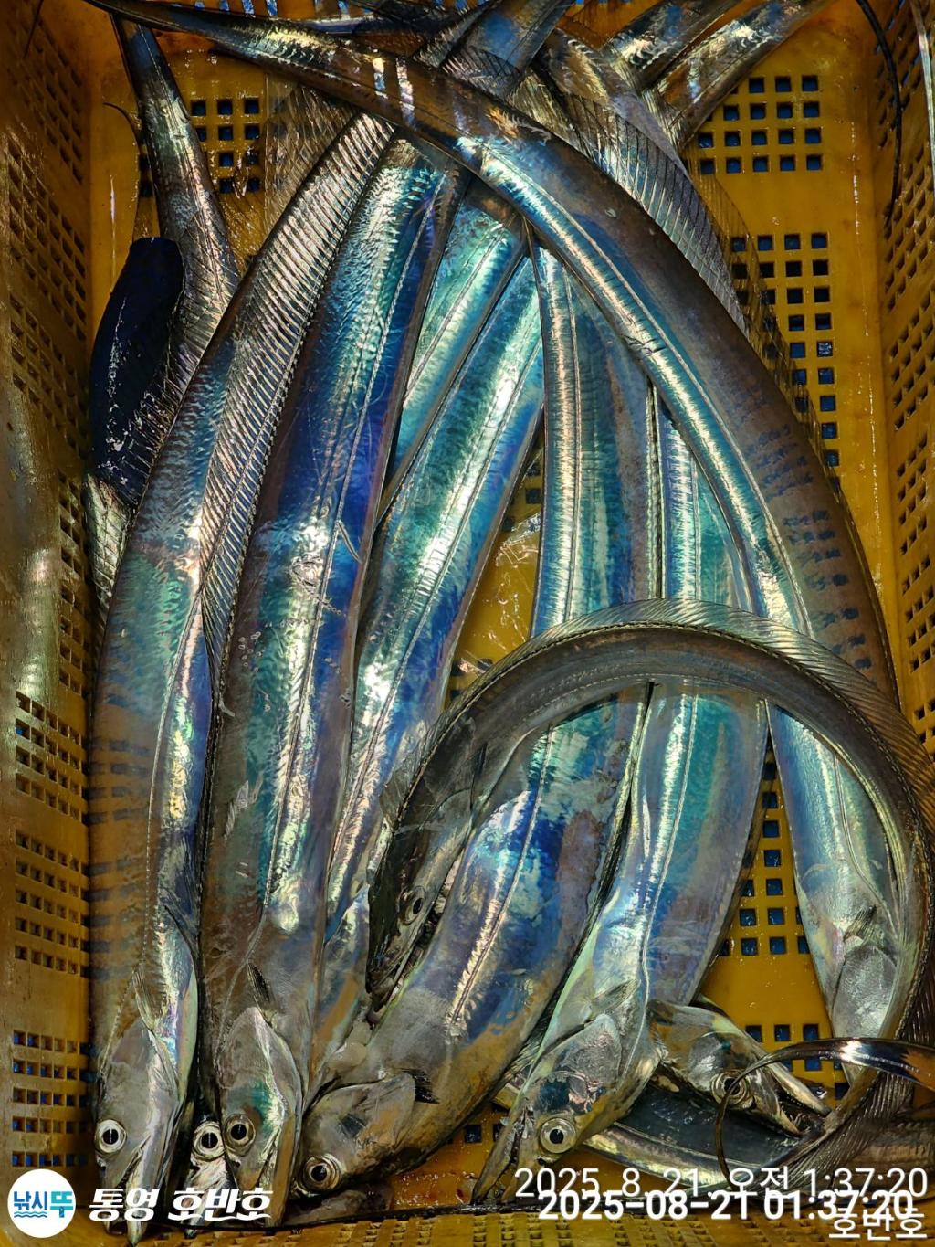 F2755894TL.jpg