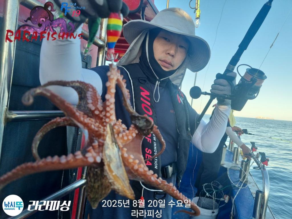 낚시뚜,돌문어,속천항(진해),라라피싱,낚시뚜10