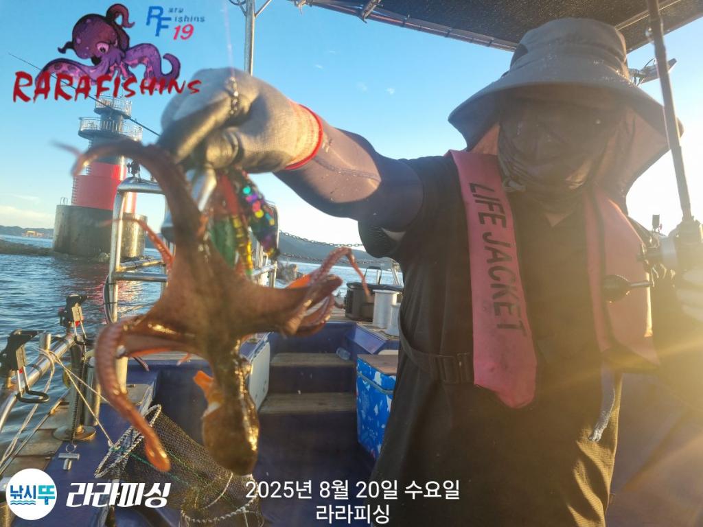낚시뚜,돌문어,속천항(진해),라라피싱,낚시뚜9
