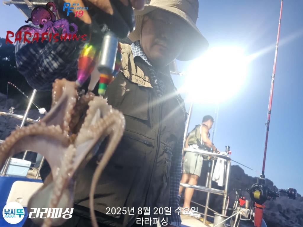 낚시뚜,돌문어,속천항(진해),라라피싱,낚시뚜8