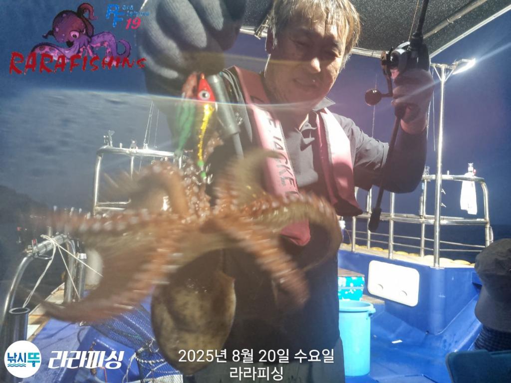 낚시뚜,돌문어,속천항(진해),라라피싱,낚시뚜7