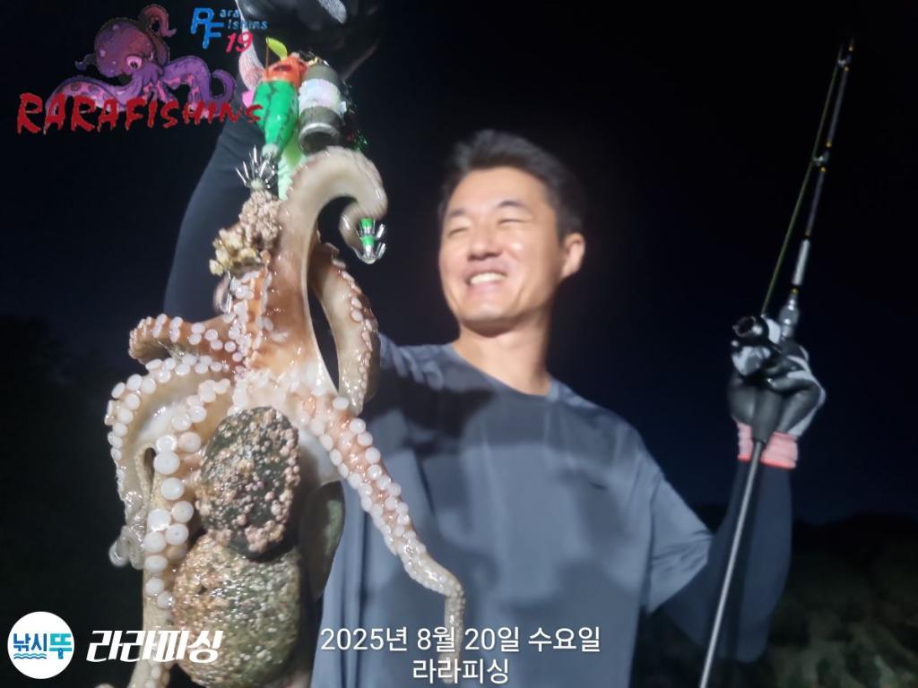 낚시뚜,돌문어,속천항(진해),라라피싱,낚시뚜6