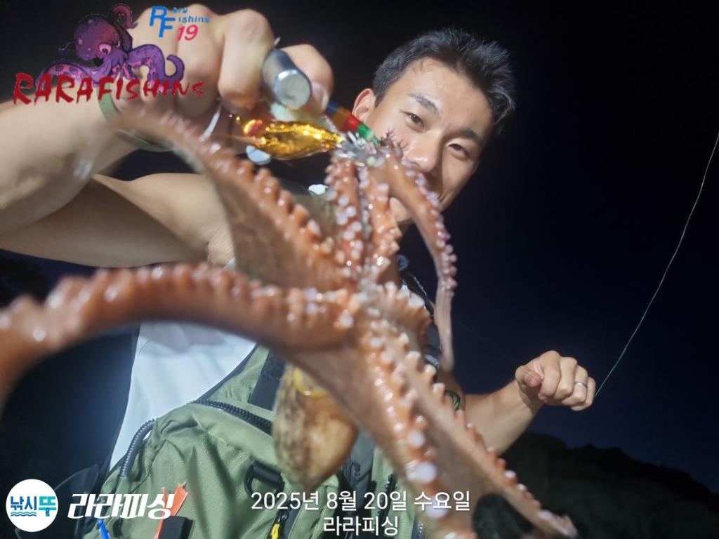 낚시뚜,돌문어,속천항(진해),라라피싱,낚시뚜5