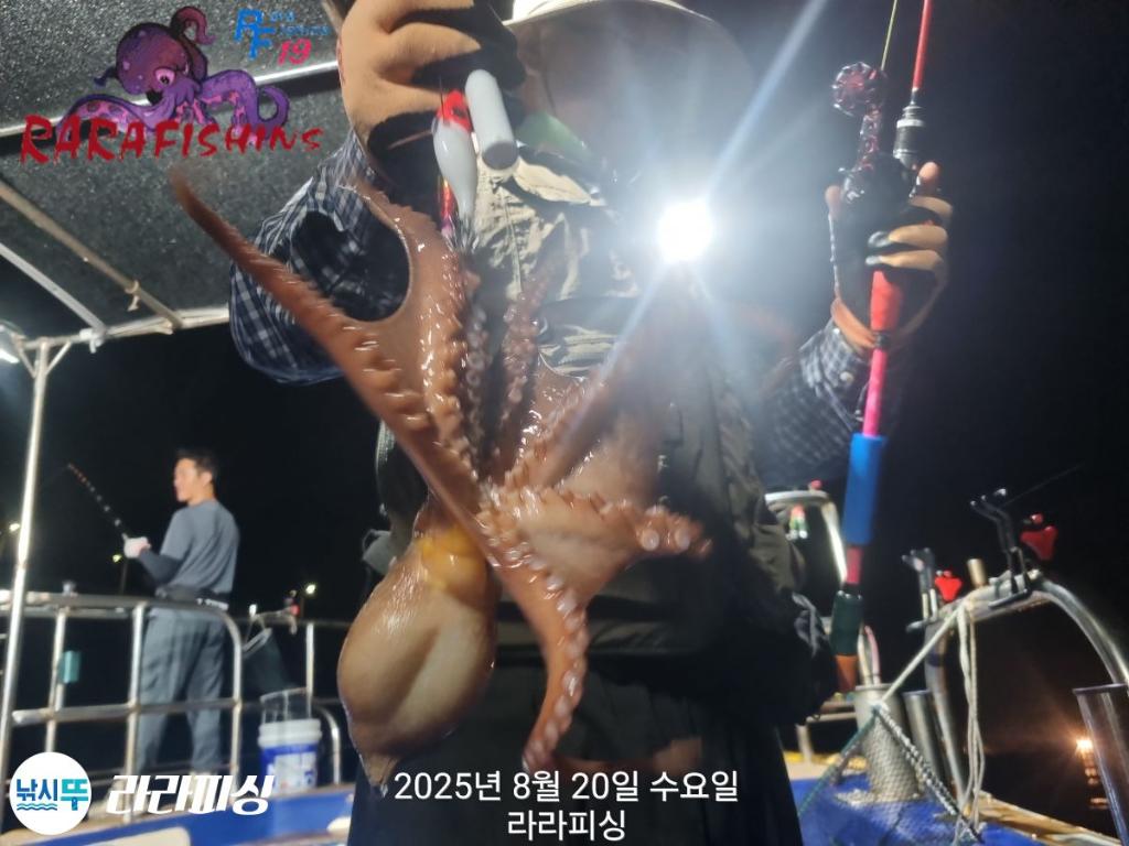 낚시뚜,돌문어,속천항(진해),라라피싱,낚시뚜3