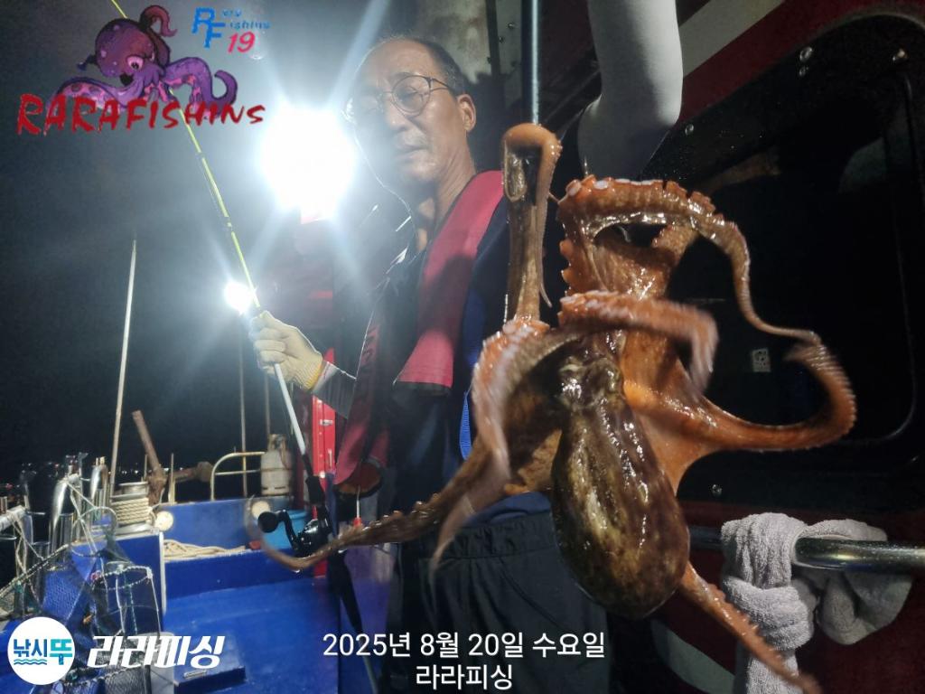 낚시뚜,돌문어,속천항(진해),라라피싱,낚시뚜2