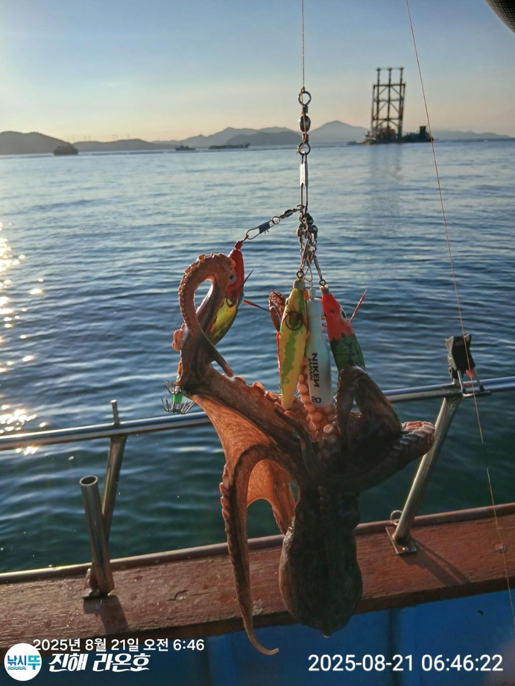 F2756241N3.jpg