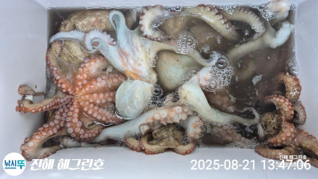 F2756278KH.jpg