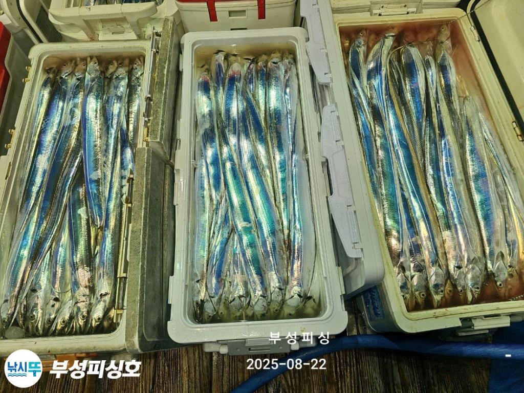 F2756591QN.jpg