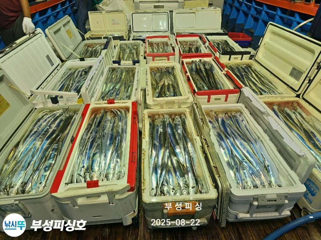 F27566236W.jpg