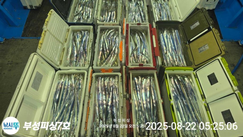 F2756630XC.jpg