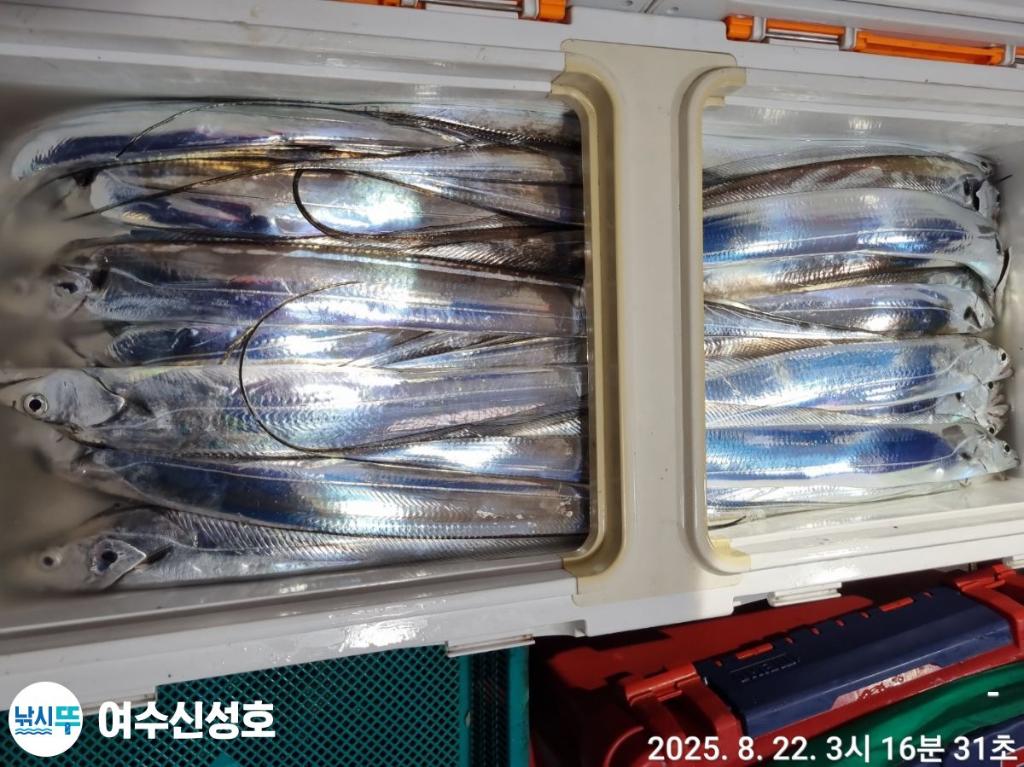 F2756758VN.jpg