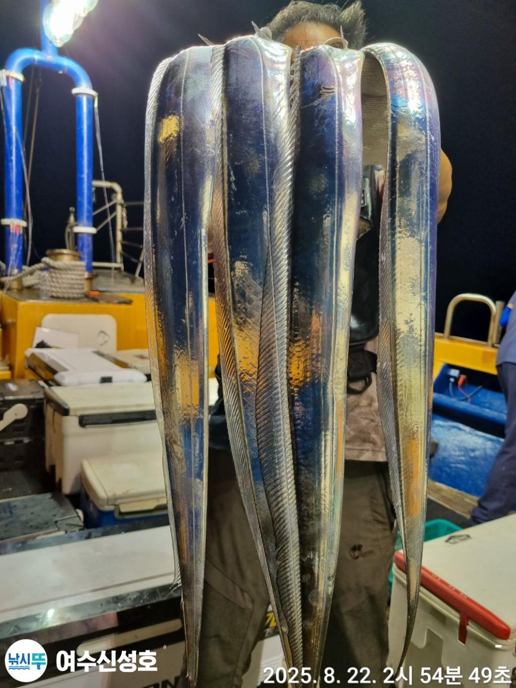 F2756774QF.jpg