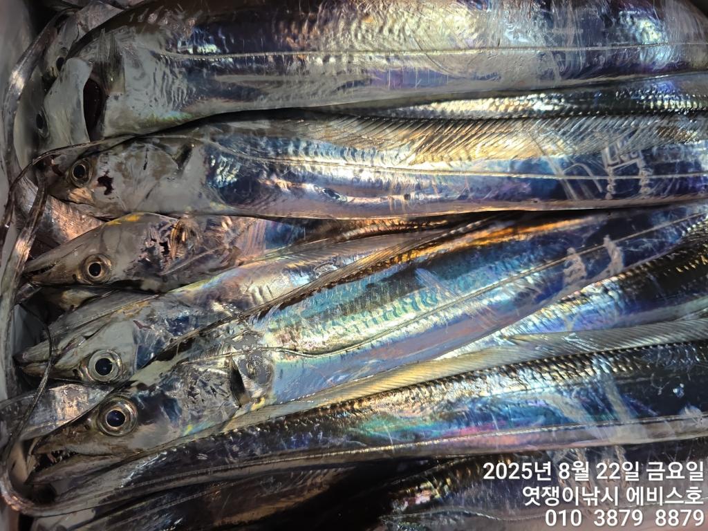 F2756852ZB.jpg