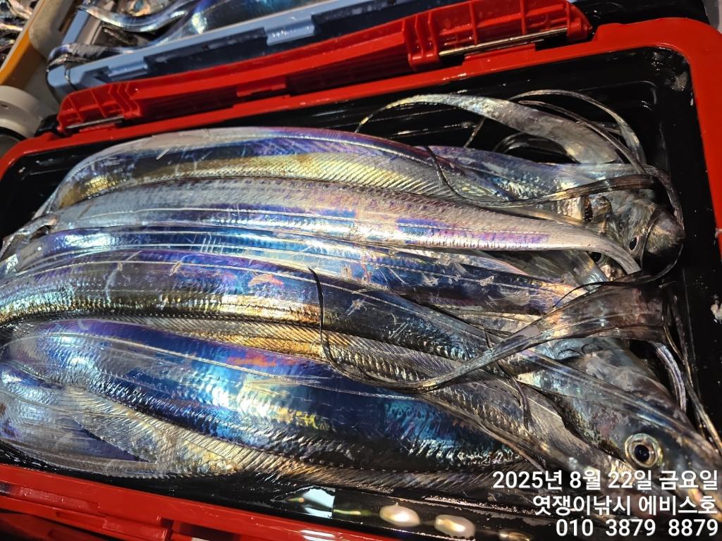 F2756857HK.jpg