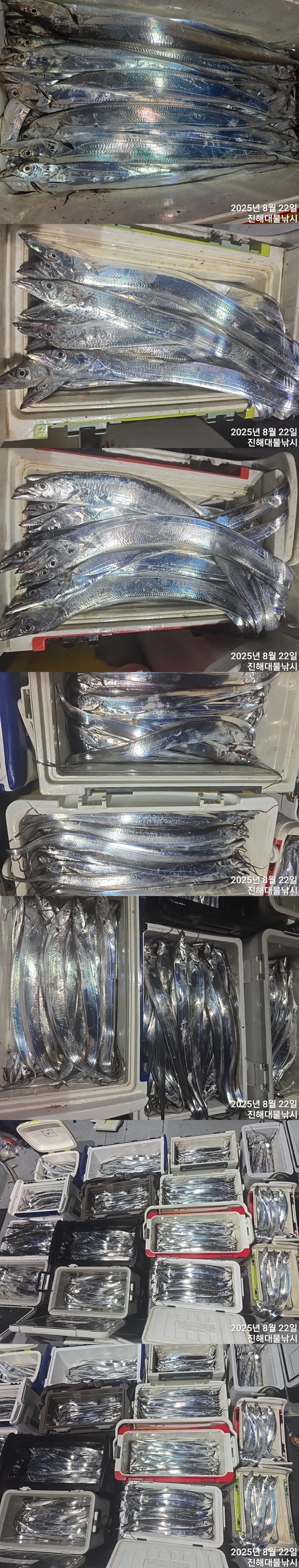 F2756968MW.jpg