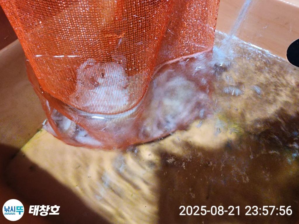 F2756990B4.jpg