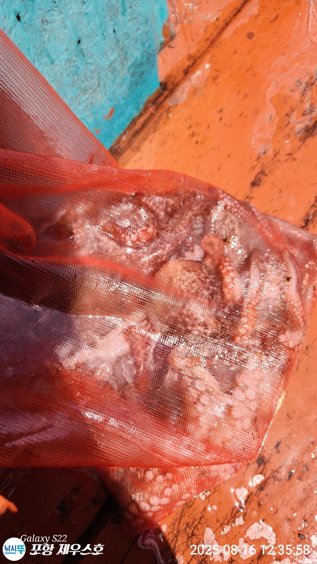 F2757222BT.jpg