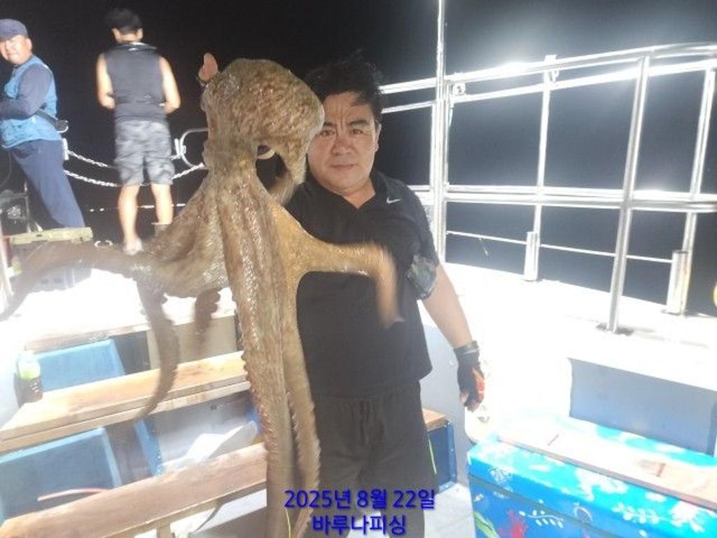 낚시뚜,돌문어,속천항(진해),바루나피싱,낚시뚜3