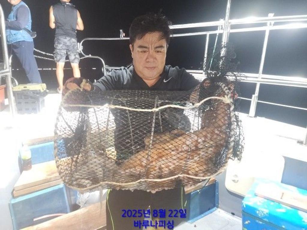 낚시뚜,돌문어,속천항(진해),바루나피싱,낚시뚜2