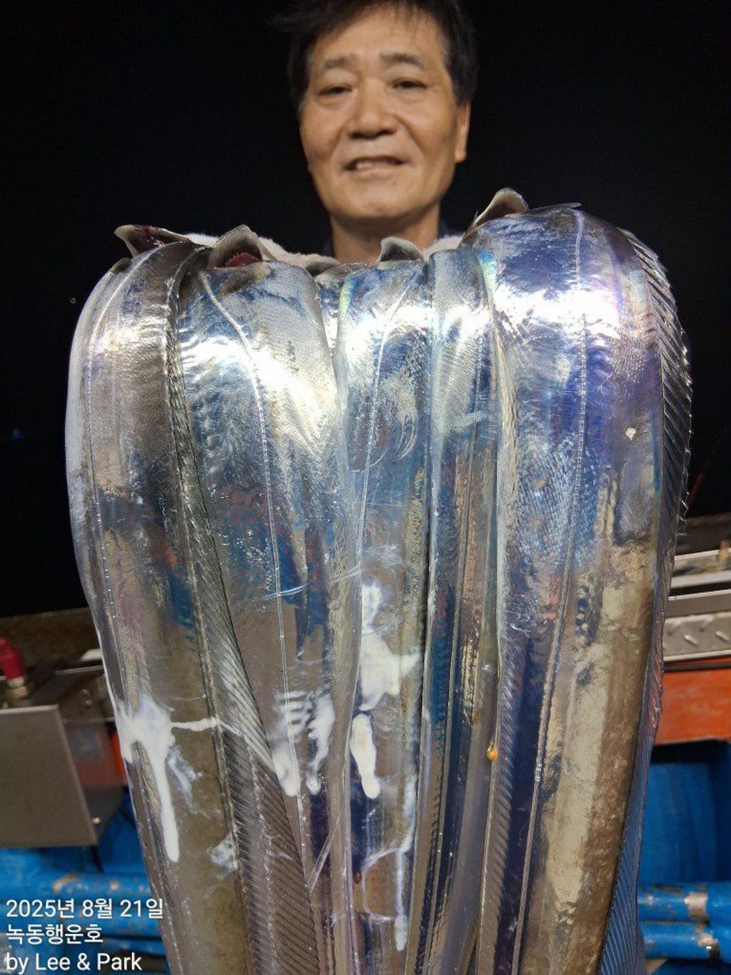 낚시뚜,갈치,녹동항,녹동대성호,낚시뚜27