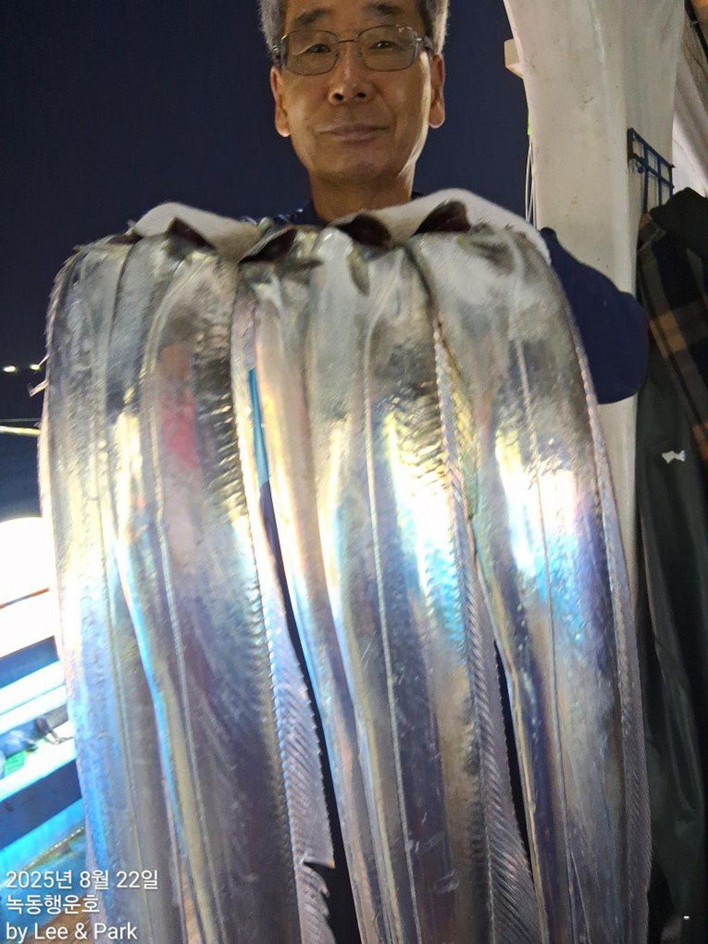 낚시뚜,갈치,녹동항,녹동대성호,낚시뚜26