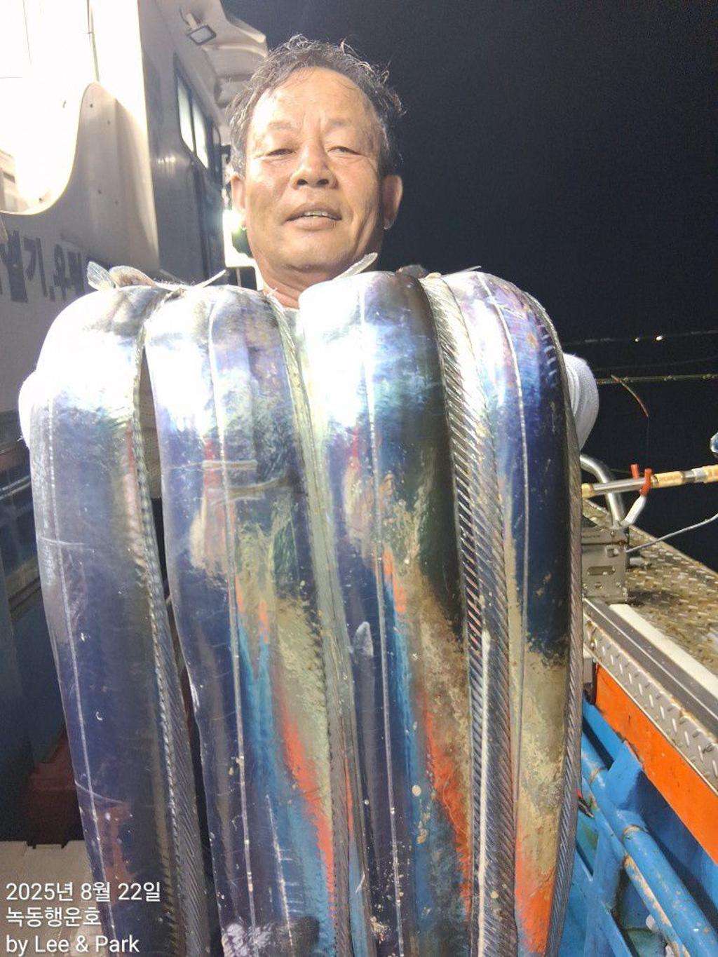 낚시뚜,갈치,녹동항,녹동대성호,낚시뚜24