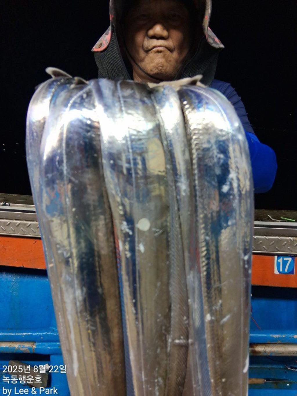 낚시뚜,갈치,녹동항,녹동대성호,낚시뚜21