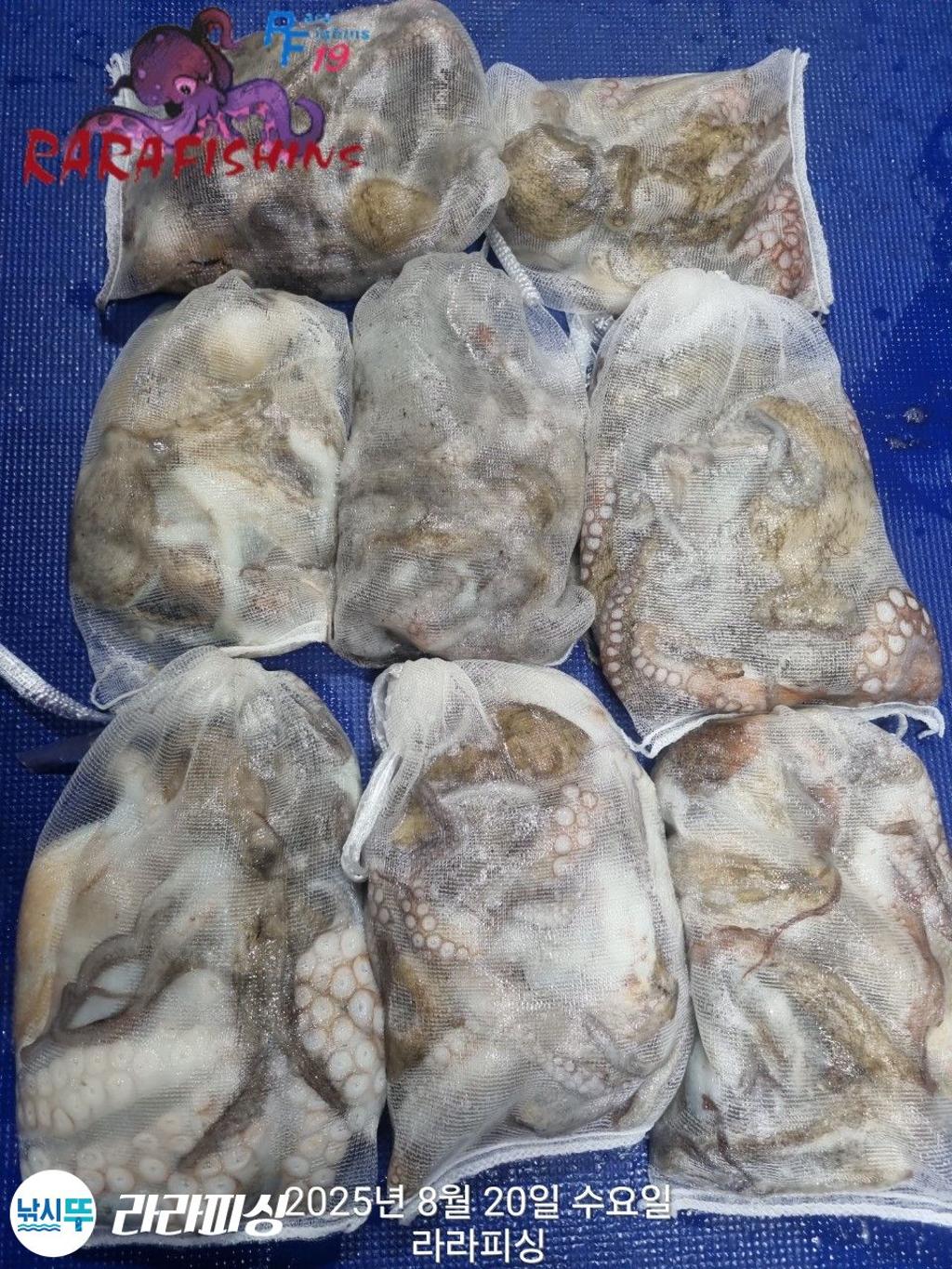 F27575900L.jpg