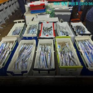 조황, 14석으로  대장쿨러  만쿨러조황으로철수했습니다 