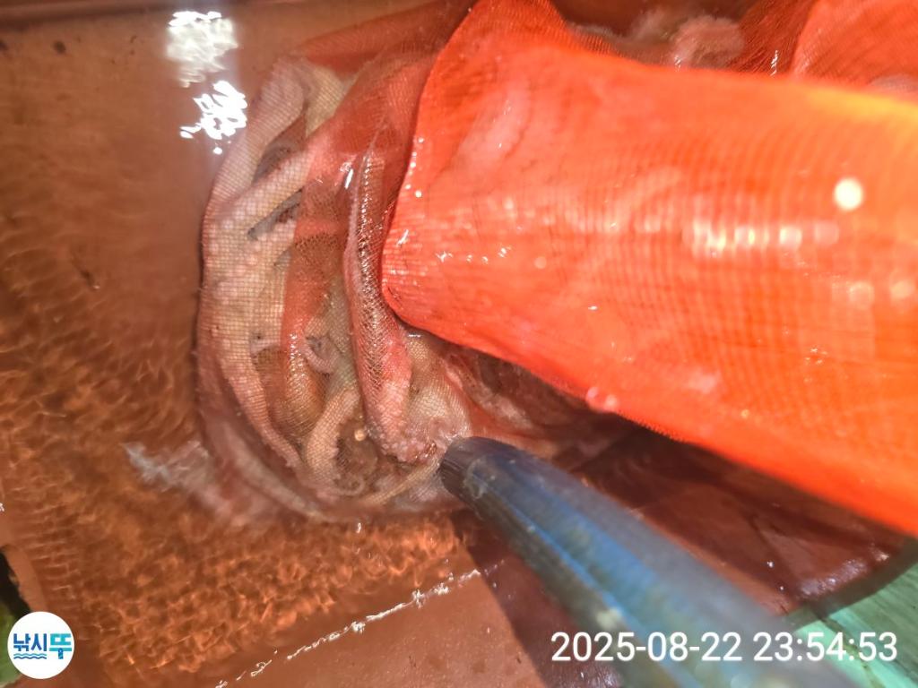 F27576166Y.jpg