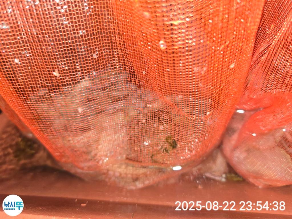 F2757618XW.jpg