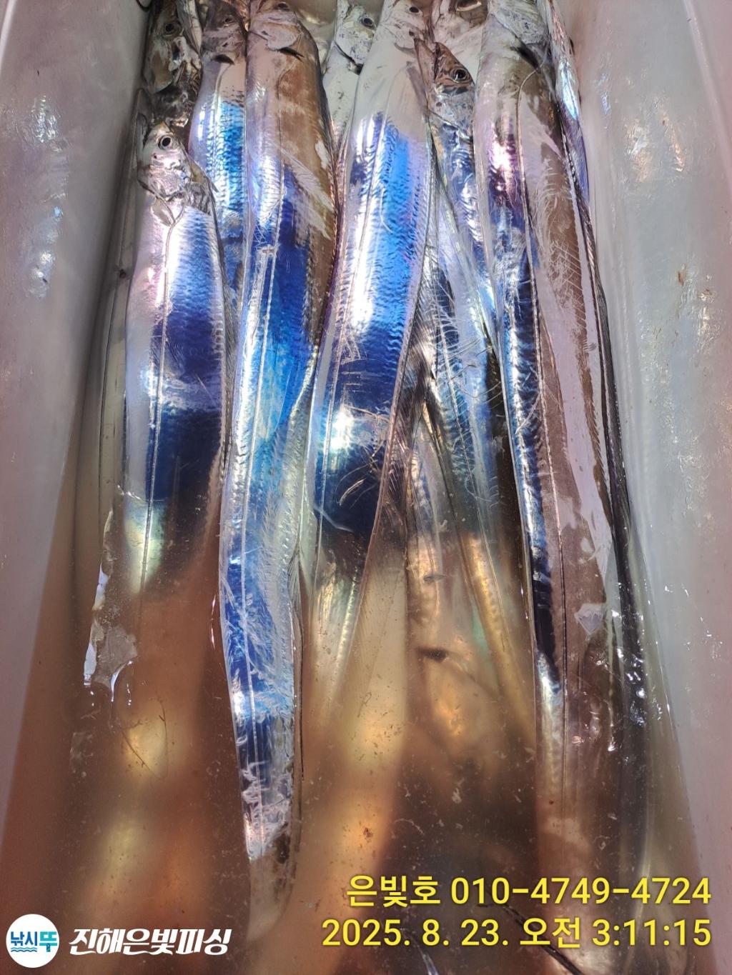 F2757654WM.jpg