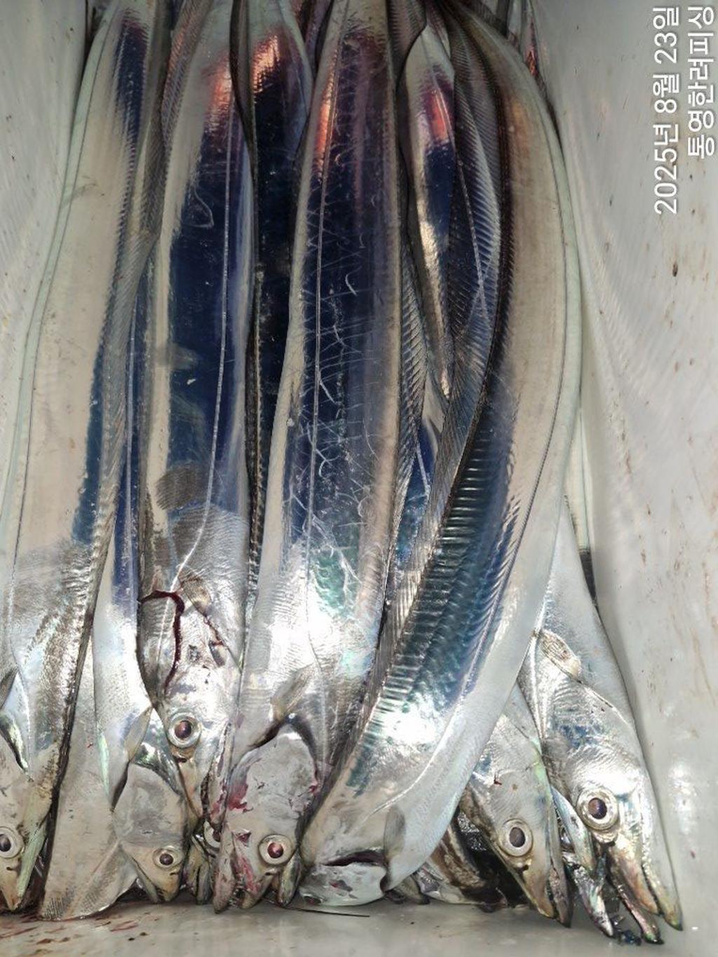 F2757665I8.jpg